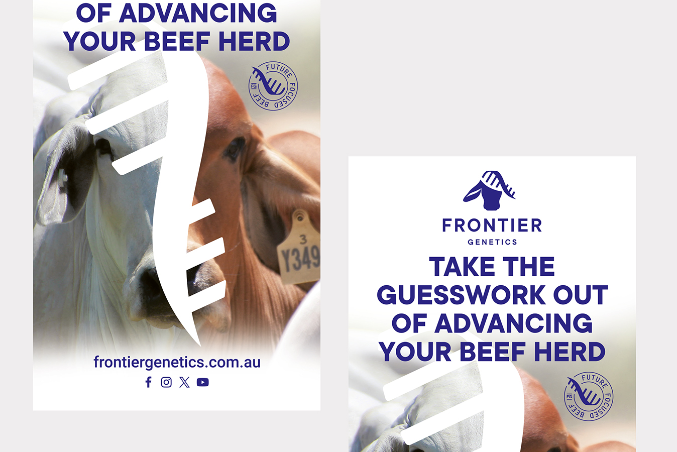 Frontier Genetics Pull up banners